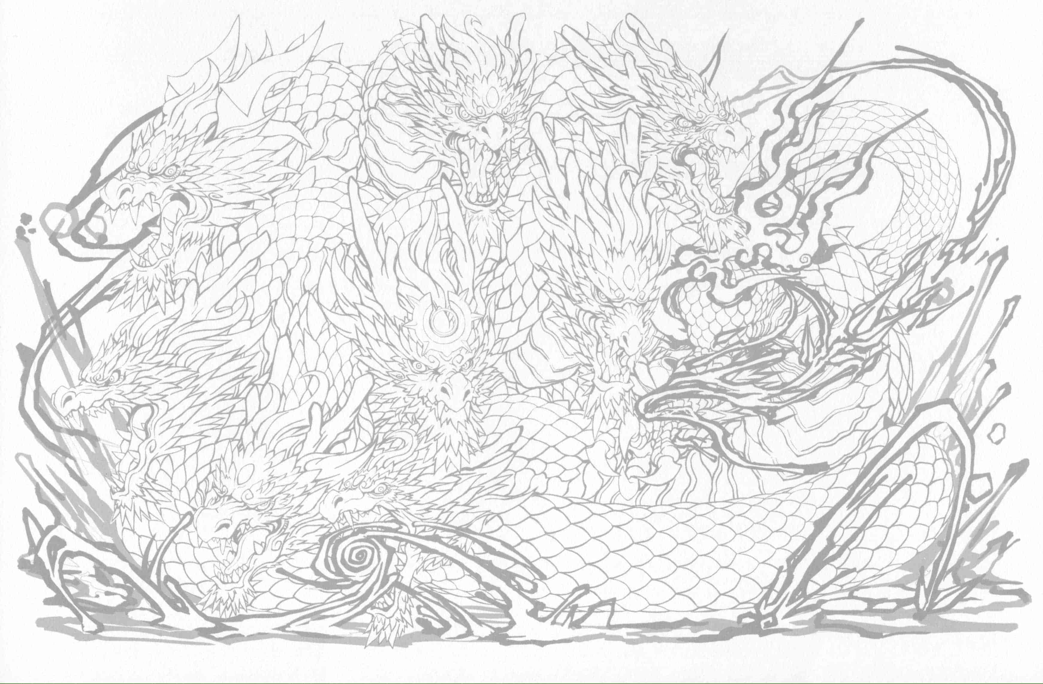 塗る!! PUZZLE＆DRAGONS 超精密塗り絵