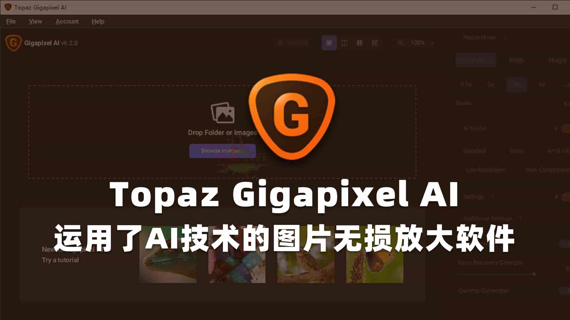 图片无损放大Topaz Gigapixel AI