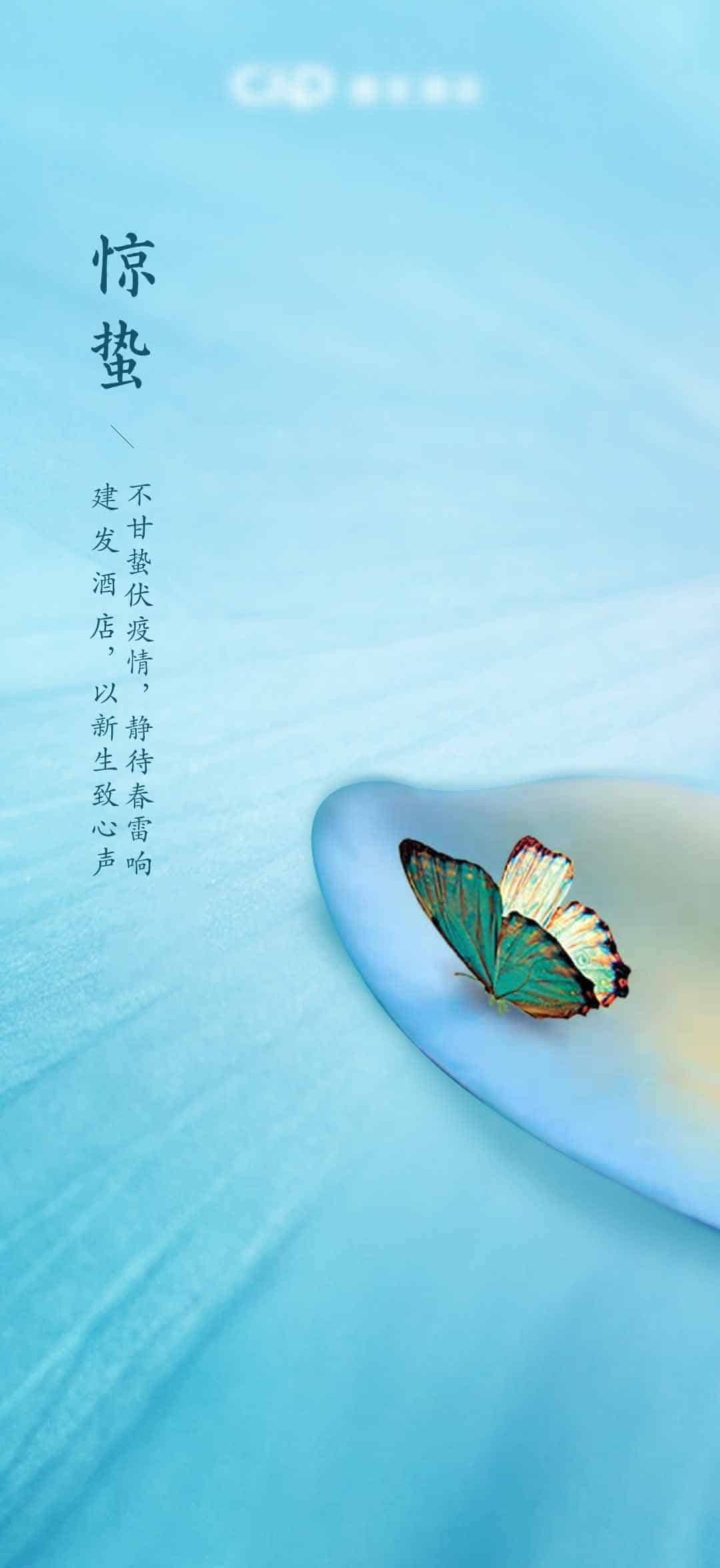 惊蛰海报合集.psd(惊蛰插画海报+惊蛰创意海报)