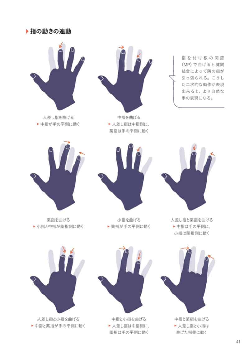 手与足的美术解剖学[130P]