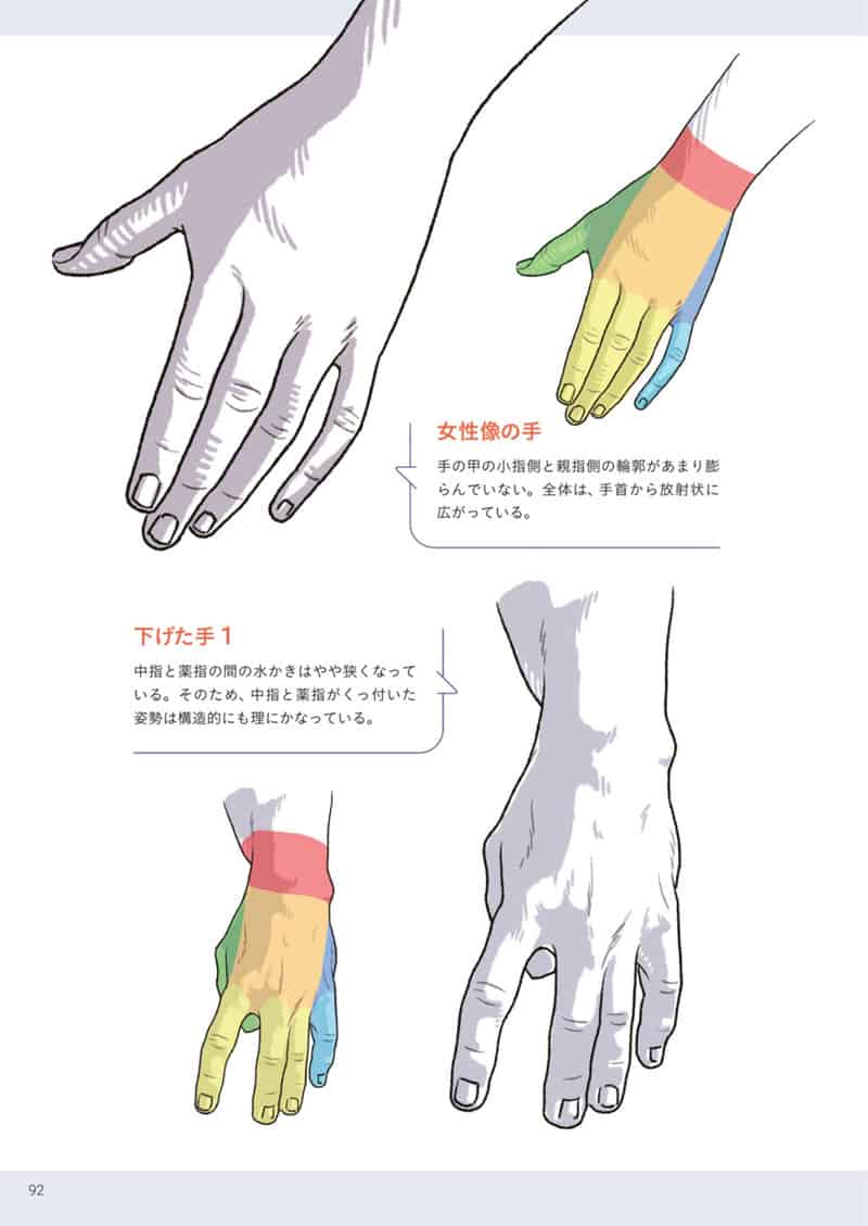 手与足的美术解剖学[130P]
