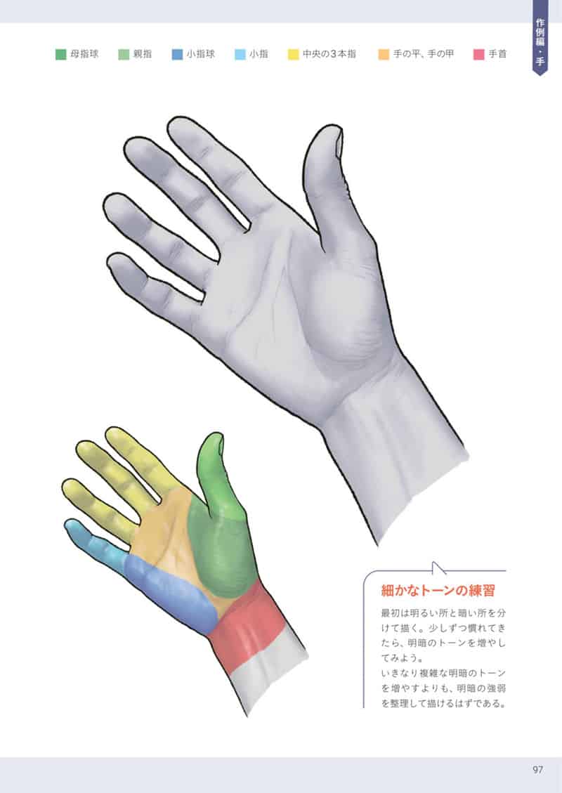 手与足的美术解剖学[130P]