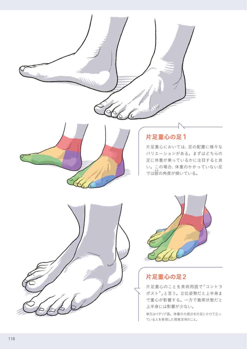 手与足的美术解剖学[130P]