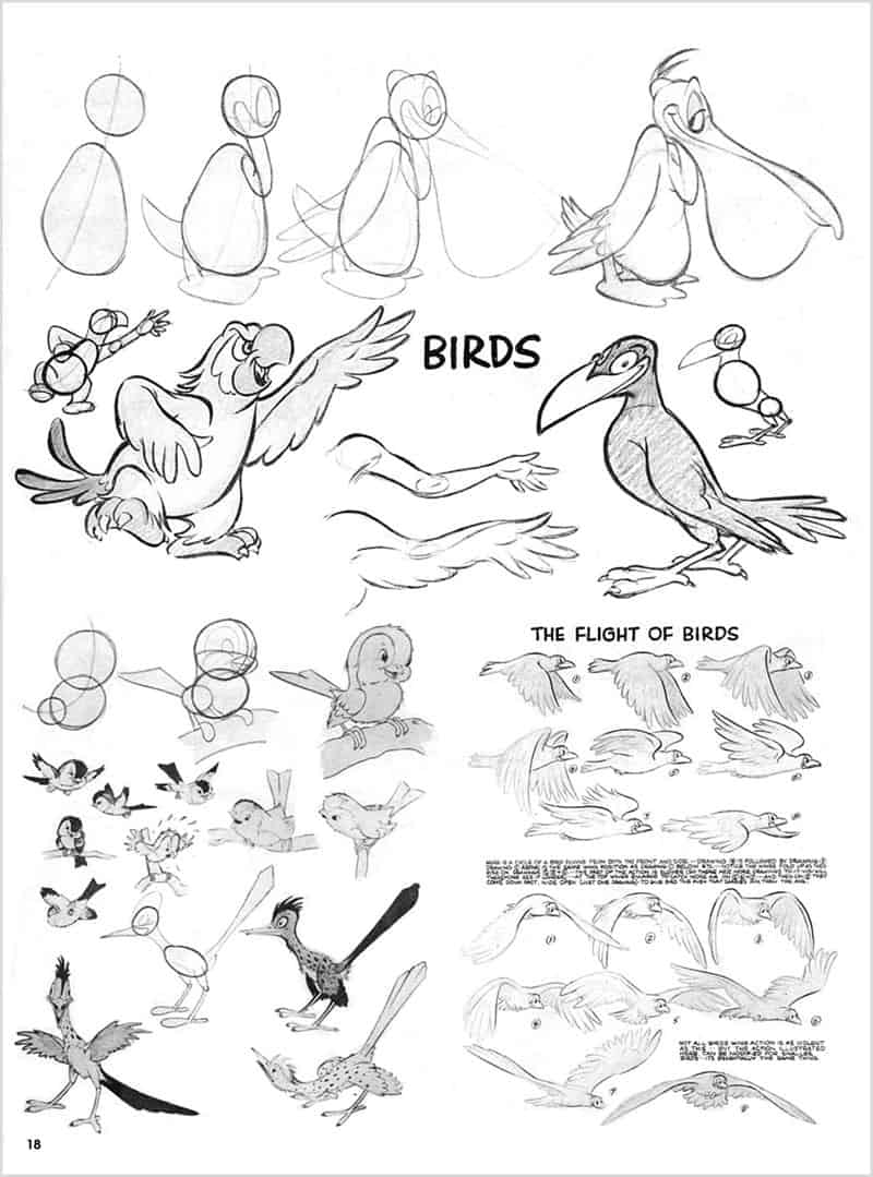 Advanced Animation[41P]