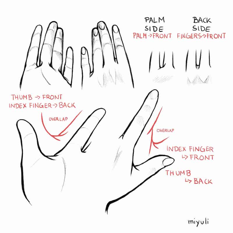 Miyuli‘s Art Tips 2019[41P]