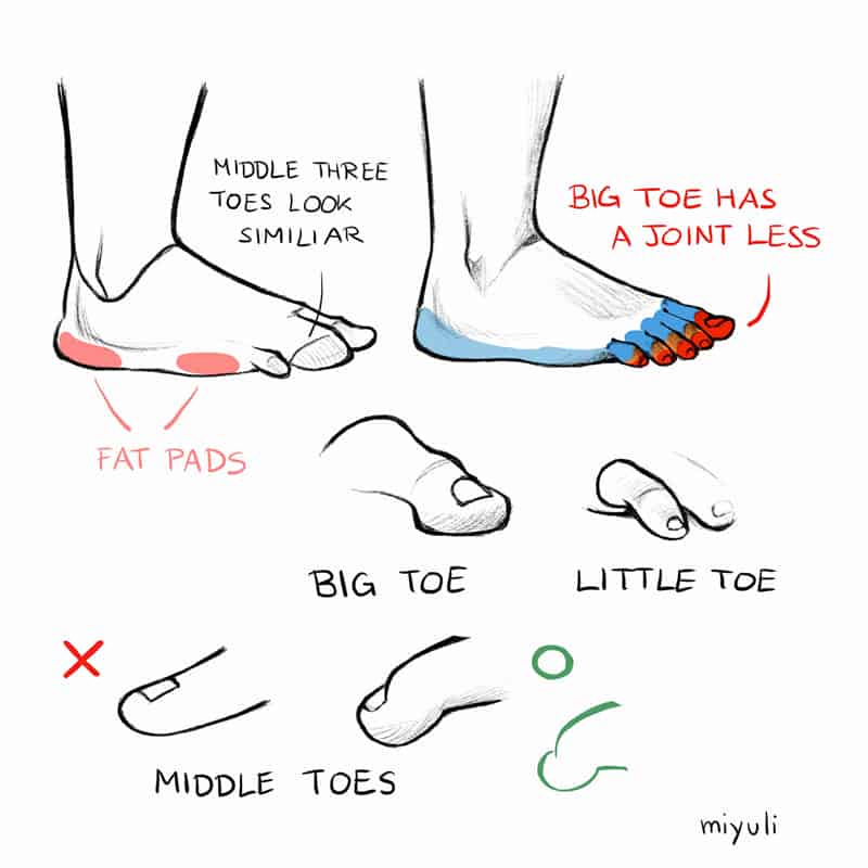 Miyuli‘s Art Tips 2019[41P]