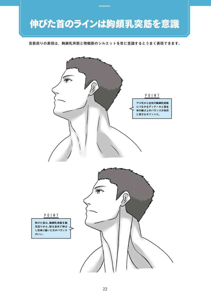 肌肉的画法!通过部位了解结构并进行区分描绘[130P]