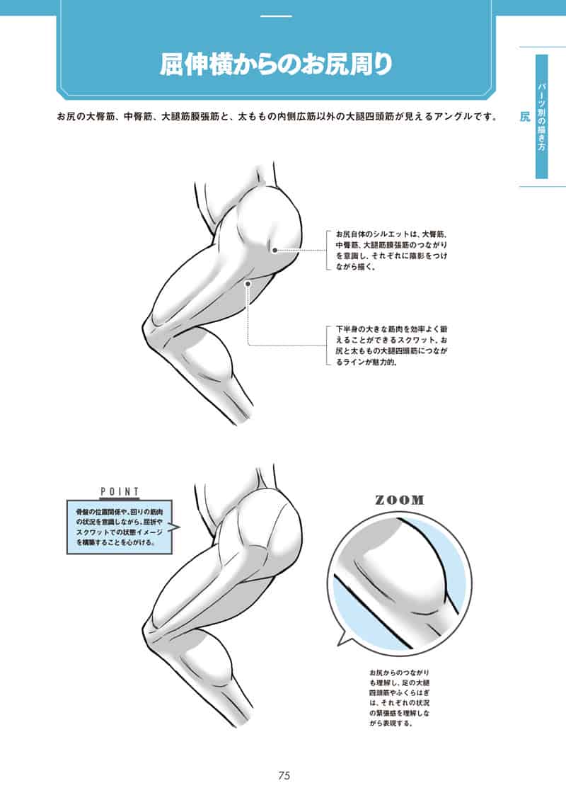 肌肉的画法!通过部位了解结构并进行区分描绘[130P]