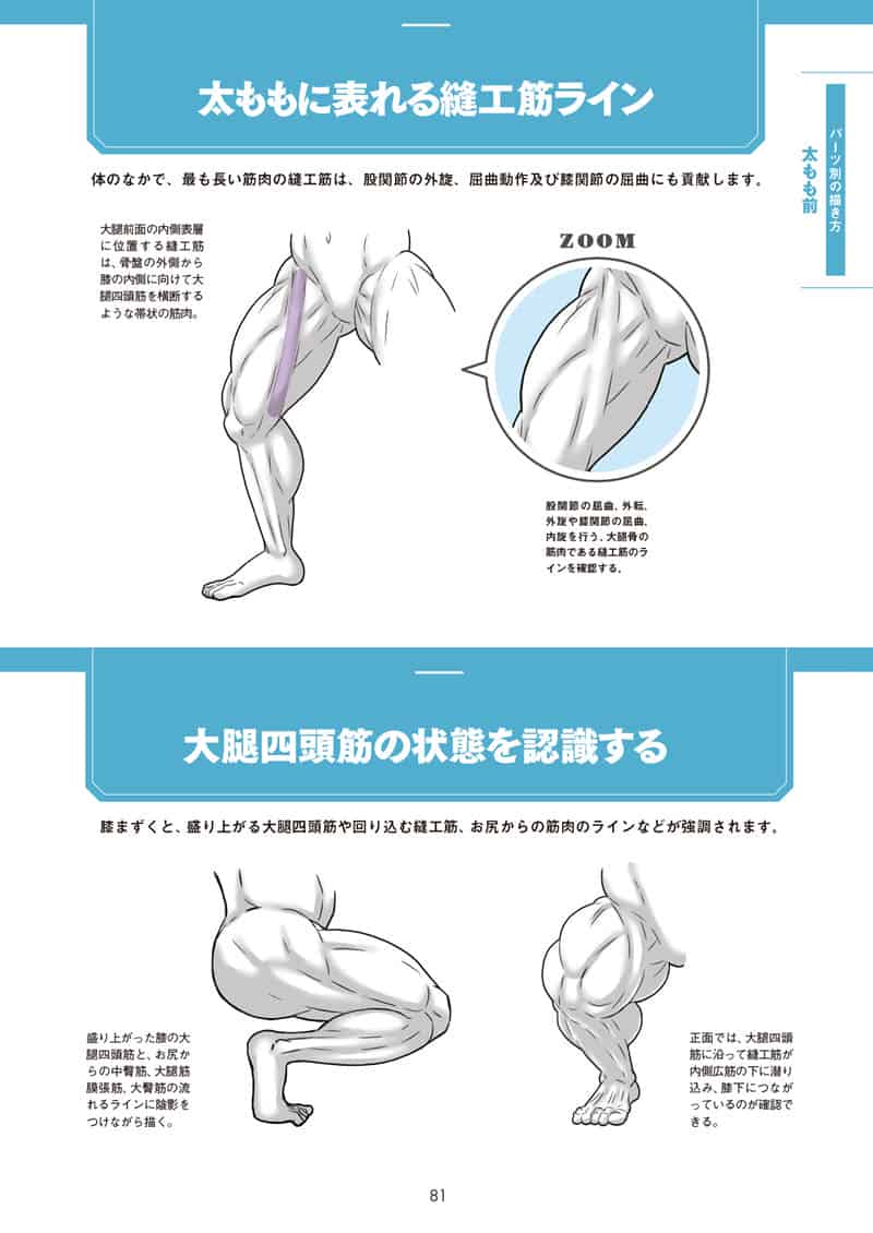 肌肉的画法!通过部位了解结构并进行区分描绘[130P]