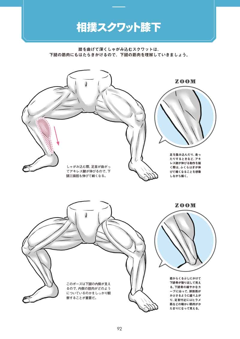 肌肉的画法!通过部位了解结构并进行区分描绘[130P]