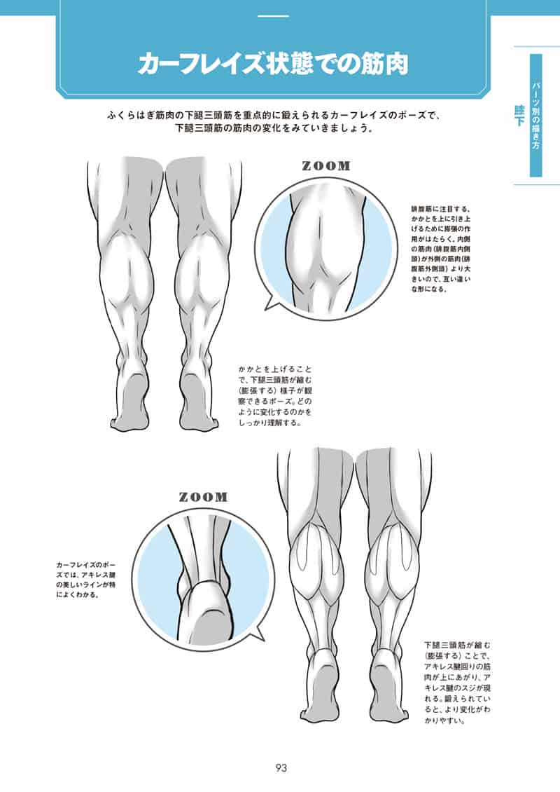 肌肉的画法!通过部位了解结构并进行区分描绘[130P]