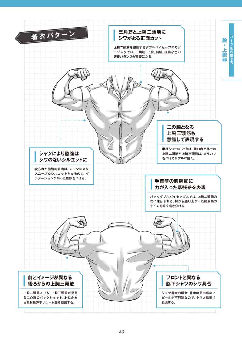 肌肉的画法!通过部位了解结构并进行区分描绘[130P]