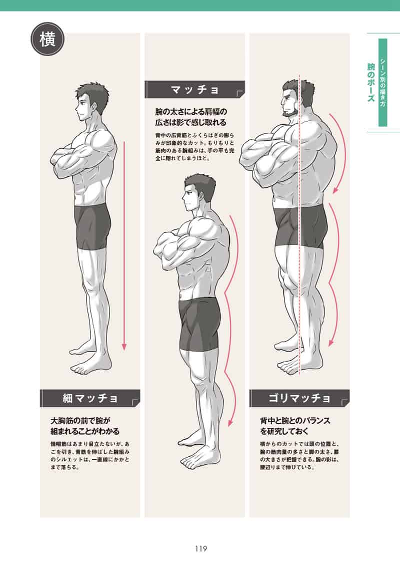 肌肉的画法!通过部位了解结构并进行区分描绘[130P]