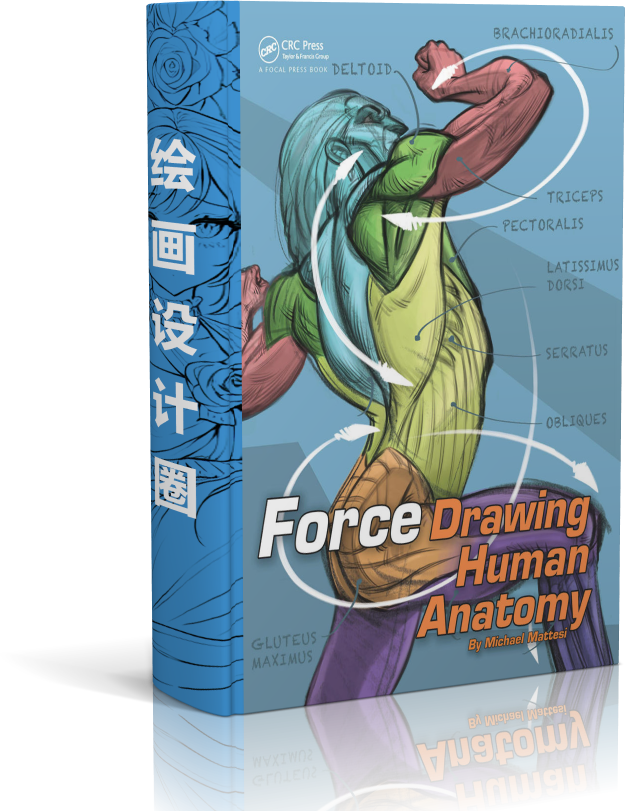 FORCE 绘画人体解剖学[334P]