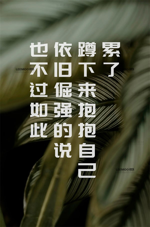 商用字体700款