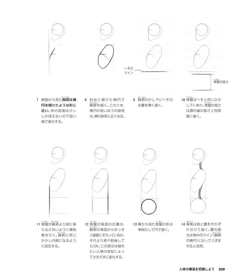 人体绘画基础 从解剖到透视[281P]