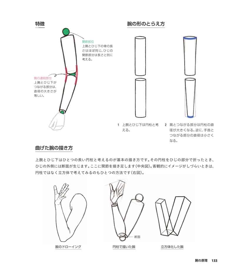 人体绘画基础 从解剖到透视[281P]