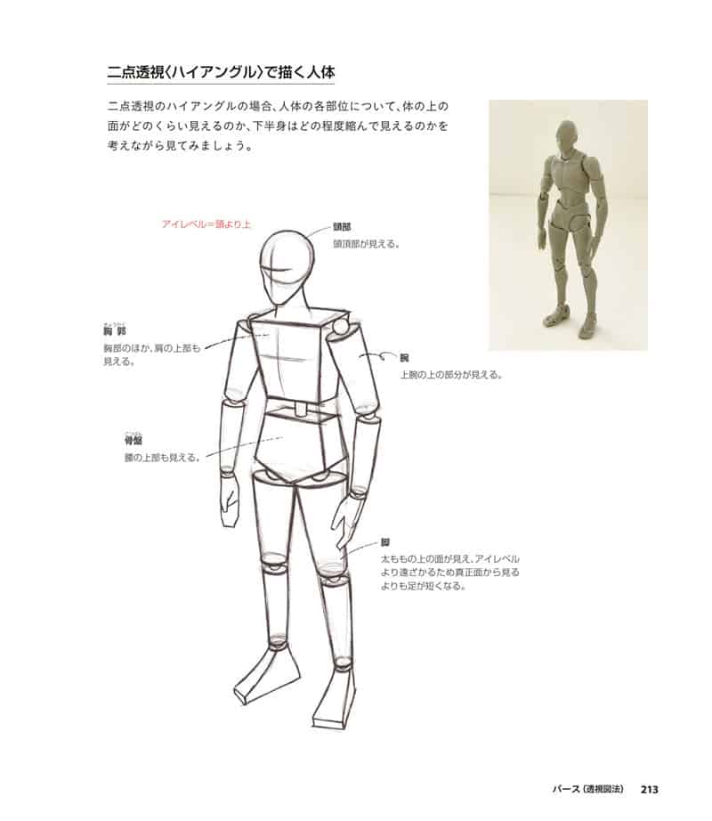 人体绘画基础 从解剖到透视[281P]