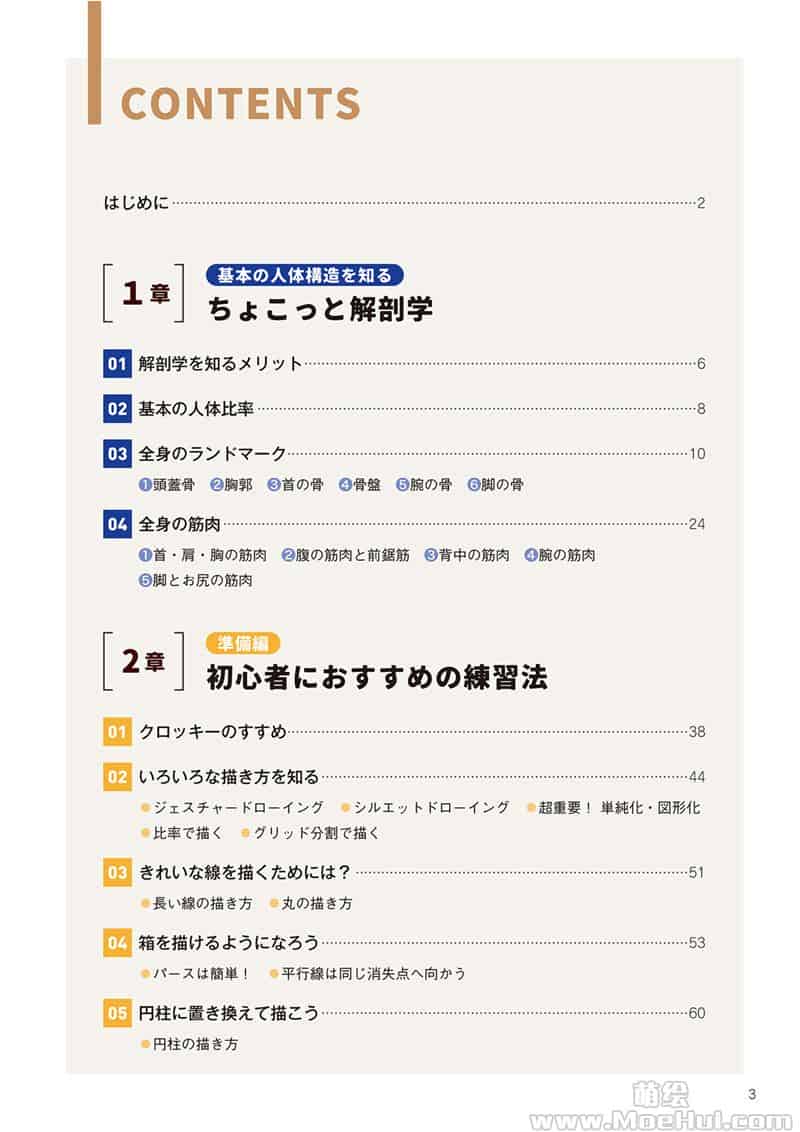 只要掌握一点人体解剖学,就能画出令人惊叹的人物画[195P]