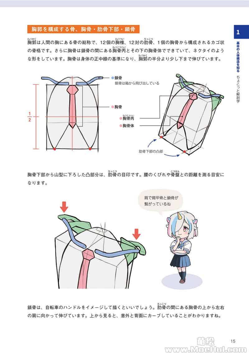 只要掌握一点人体解剖学,就能画出令人惊叹的人物画[195P]