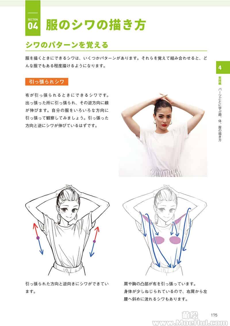 只要掌握一点人体解剖学,就能画出令人惊叹的人物画[195P]